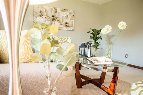 103 Omni, Forest, VA 24551 photo 15