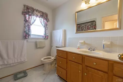 303 Spring Lake Rd, Forest, VA 24551 photo 72