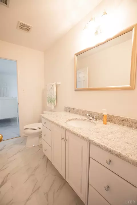 303 Spring Lake Rd, Forest, VA 24551 photo 61
