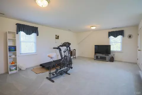 303 Spring Lake Rd, Forest, VA 24551 photo 54
