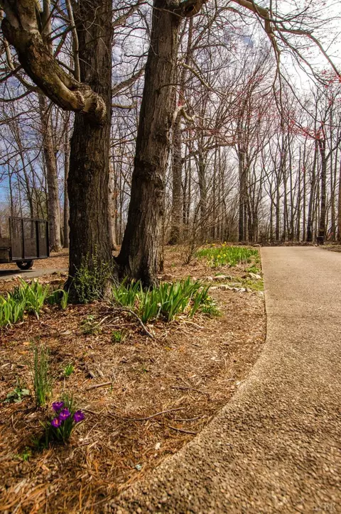 1209 Everett Rd, Forest, VA 24551 photo 52