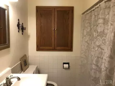 263 Crescent Ln, Monroe, VA 24574 photo 30