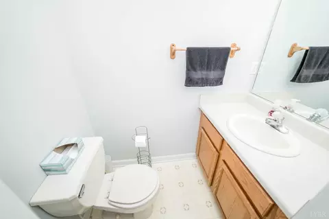 1430 Meadow Down Dr, Forest, VA 24551 photo 54