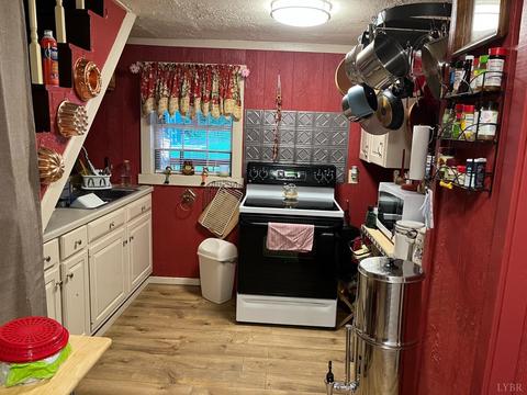 132 Pera Rd, Monroe, VA 24574 photo 3
