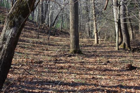 899 Wagon Trail Rd, Monroe, VA 24574 photo 15