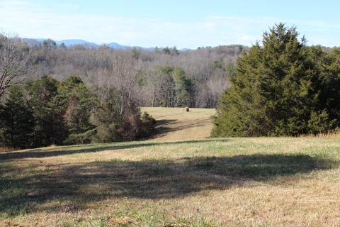 899 Wagon Trail Rd, Monroe, VA 24574 photo 28