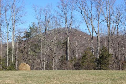 899 Wagon Trail Rd, Monroe, VA 24574 photo 41