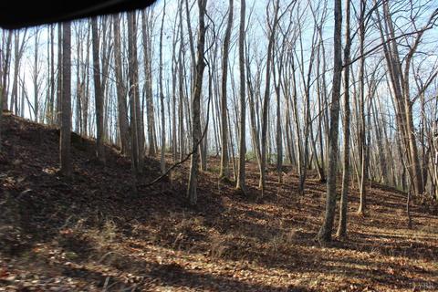 899 Wagon Trail Rd, Monroe, VA 24574 photo 18
