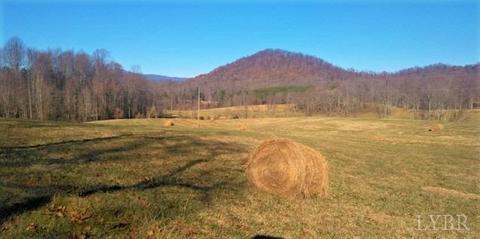 899 Wagon Trail Rd, Monroe, VA 24574 photo 1