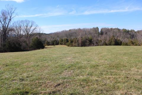 899 Wagon Trail Rd, Monroe, VA 24574 photo 11
