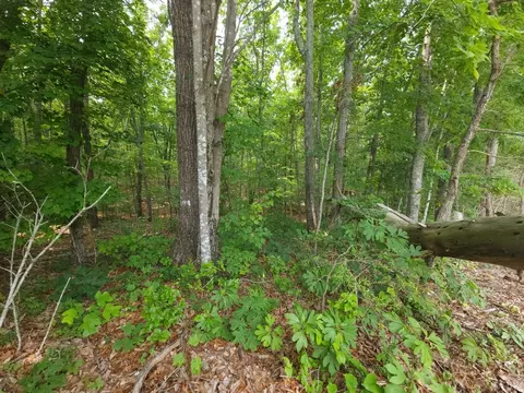 0 Riverville Rd, Gladstone, VA 24553
