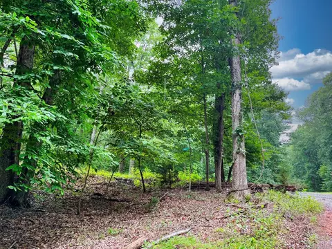 24 Galts Mill Lndg, Madison Heights, VA 24572