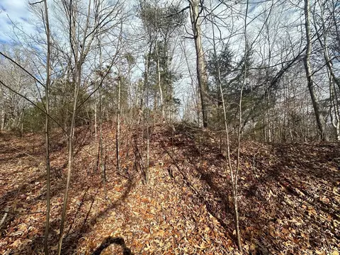 3597 Tye Brook Rd, Piney River, VA 22964 photo 3