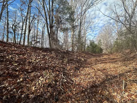 3597 Tye Brook Rd, Piney River, VA 22964 photo 2