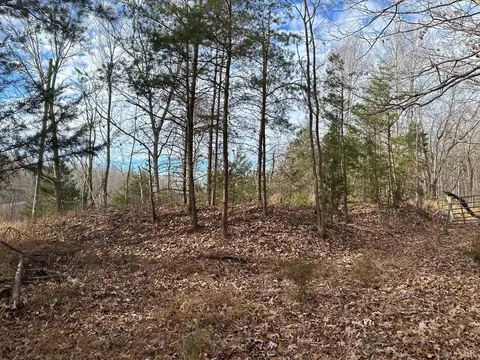 3597 Tye Brook Rd, Piney River, VA 22964 photo 11