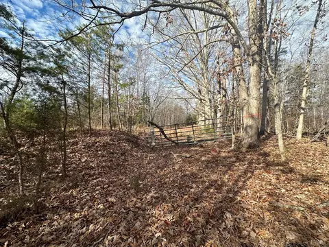 3597 Tye Brook Rd, Piney River, VA 22964 photo 4