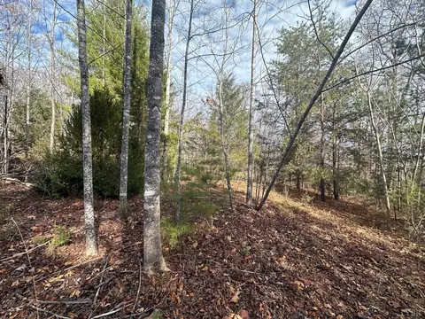 3597 Tye Brook Rd, Piney River, VA 22964 photo 8