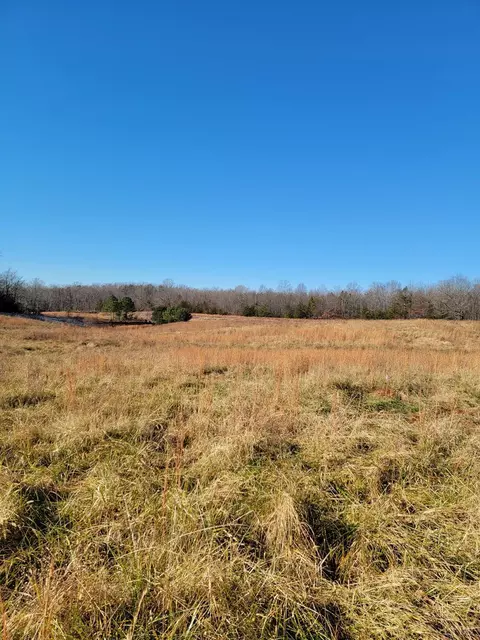 17 Down Creek Rd, Brookneal, VA 24528