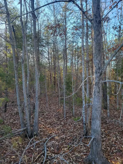 21 Down Creek Rd, Brookneal, VA 24528