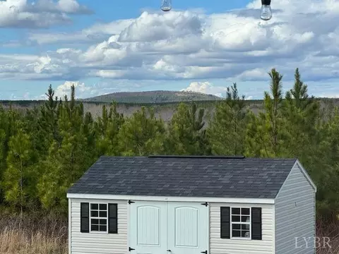 Exterior - 567 Beeks Ln, Spout Spring, VA 24593 photo 15 of 17