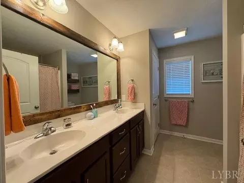 Bath - 567 Beeks Ln, Spout Spring, VA 24593 photo 3 of 5