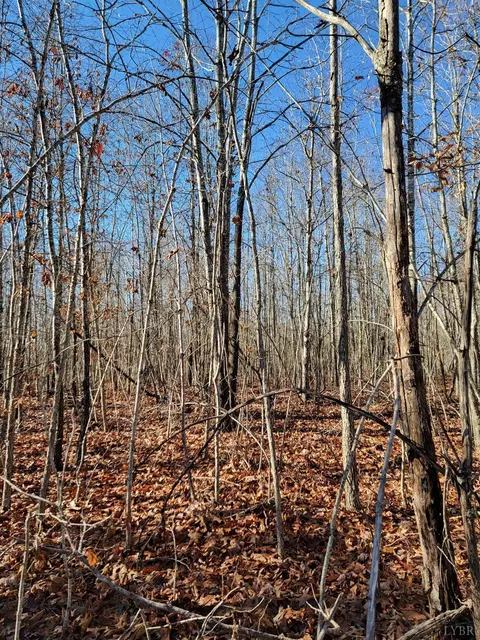 13 Down Creek Rd, Brookneal, VA 24528
