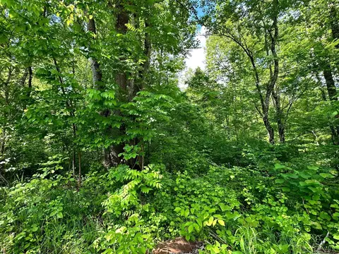 0 Menefee Dr, Goode, VA 24556 photo 5