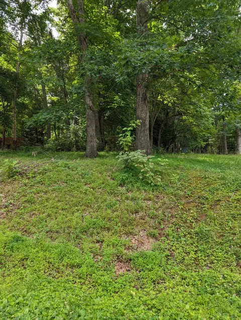 0 Lamont Cir, Madison Heights, VA 24572