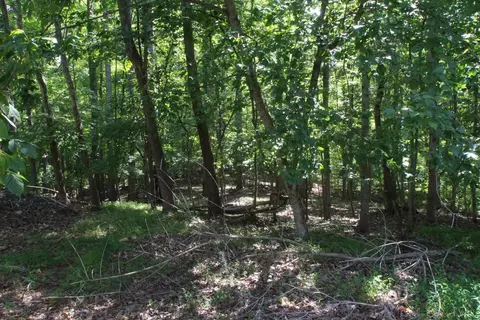 37 Leah Beth Drive Dr, Madison Heights, VA 24572