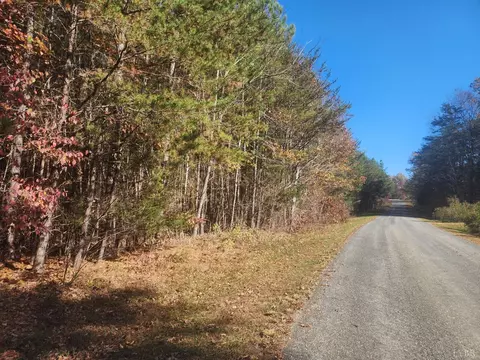 0 Hughes Rd, Gladys, VA 24554 photo 5