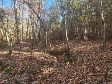 0 Hughes Rd, Gladys, VA 24554 photo 2