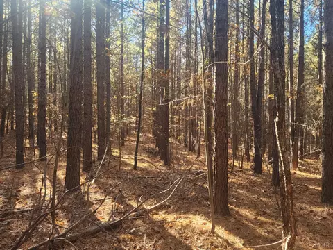 0 Hughes Rd, Gladys, VA 24554 photo 3