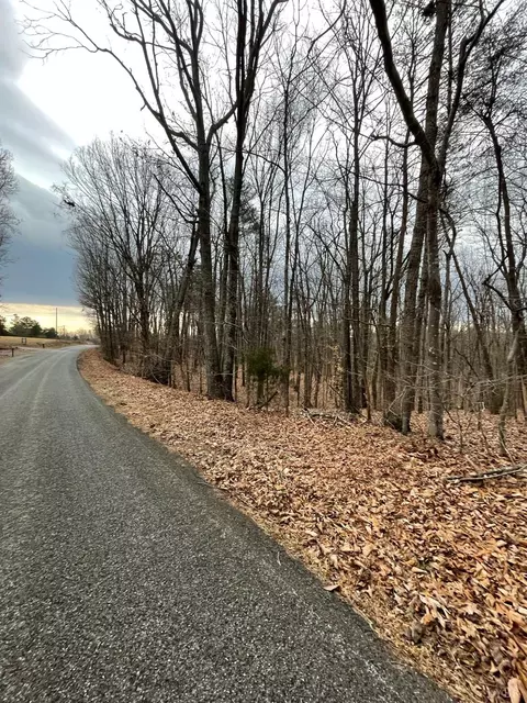 0 Swan Creek Rd, Gladys, VA 24554