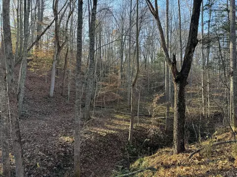 0 Sycamore Dr, Goode, VA 24556 photo 9