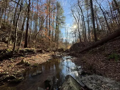 0 Sycamore Dr, Goode, VA 24556 photo 5