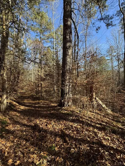 0 Sycamore Dr, Goode, VA 24556 photo 10
