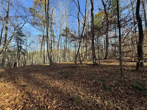0 Sycamore Dr, Goode, VA 24556 photo 8