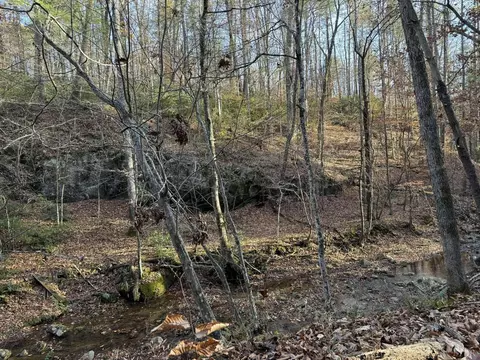 0 Sycamore Dr, Goode, VA 24556 photo 7