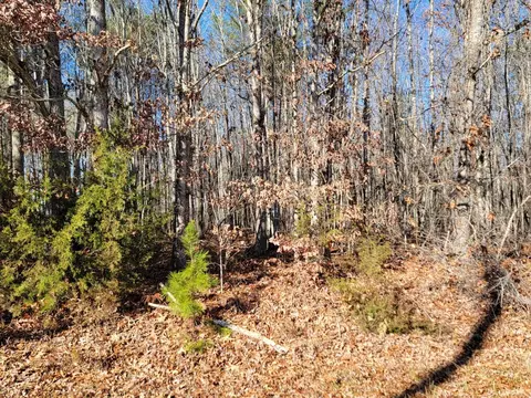 28 Down Creek Rd, Brookneal, VA 24528