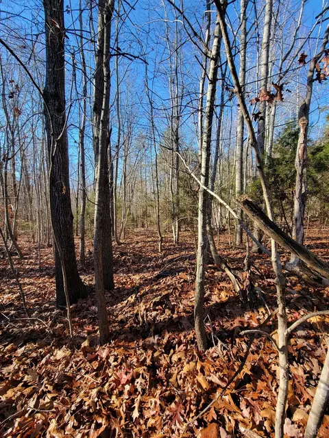 27 Down Creek Rd, Brookneal, VA 24528