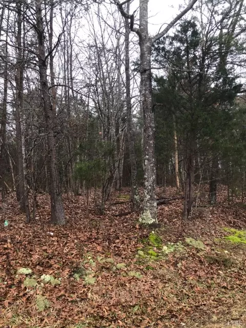 0 3b Mohawk, Gladys, VA 24554