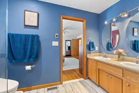 115 Sailview Dr, Forest, VA 24551 photo 29