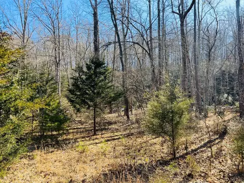 0 Main St, Hurt, VA 24563 photo 23