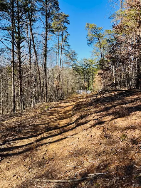 0 Main St, Hurt, VA 24563 photo 17