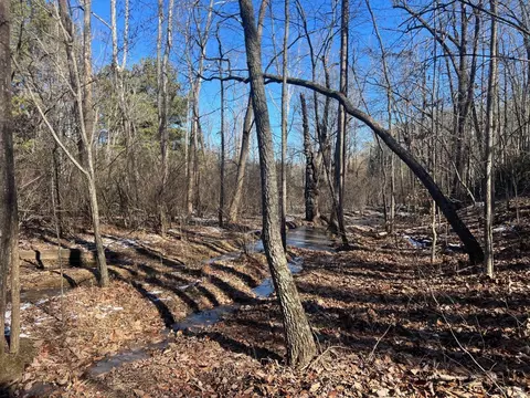 0 Main St, Hurt, VA 24563 photo 20