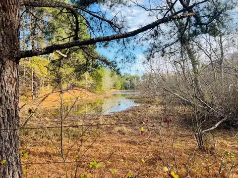 0 Main St, Hurt, VA 24563 photo 7