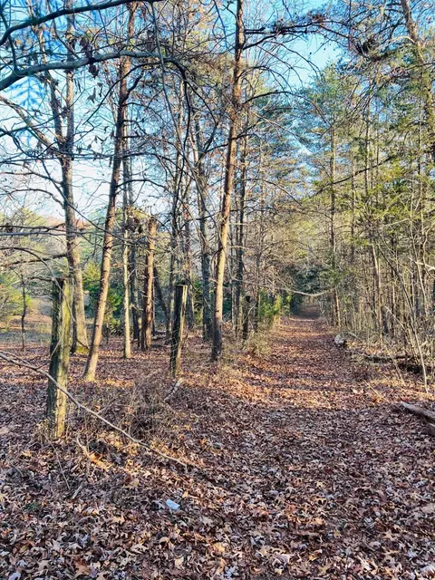 0 Main St, Hurt, VA 24563 photo 6