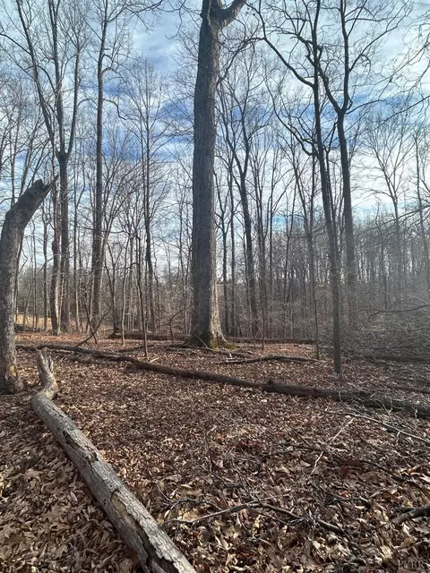 0 Blackberry Rd, Madison Heights, VA 24572