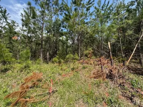 1 Stage Rd, Concord, VA 24538 photo 6