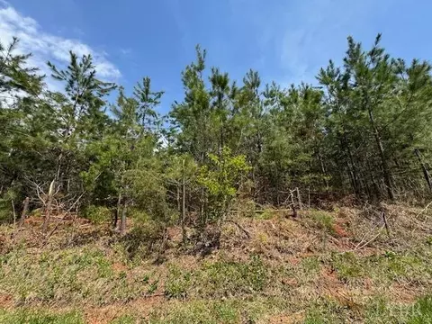 1 Stage Rd, Concord, VA 24538 photo 3